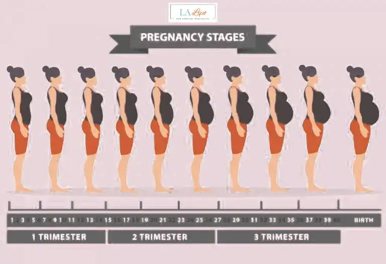 First Trimester (Weeks 1–12): Early Changes You Might Not Notice Romsey